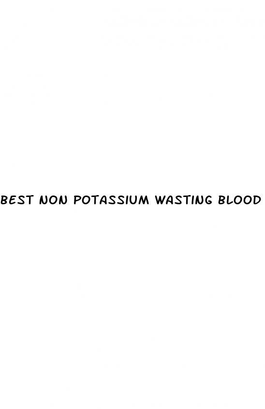 Best Non Potassium Wasting Blood Pressure Medication