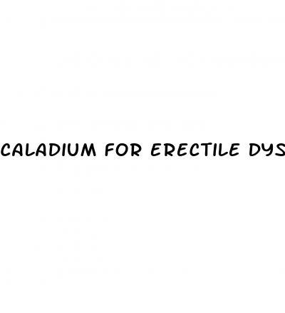 Caladium For Erectile Dysfunction