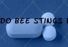 Do Bee Stings Really Enlarge Penis