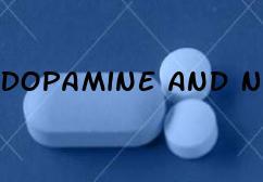 Dopamine And Norepinephrine And Premature Ejaculation