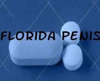 Florida Penis Enlargement