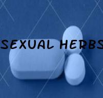 Sexual Herbs For Premature Ejaculation