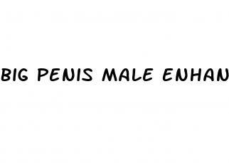 Big Penis Male Enhancement Pills