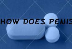How Does Penis Enlargement Pills Work