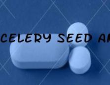 Celery Seed And Premature Ejaculation