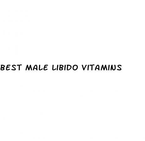 Best Male Libido Vitamins