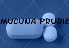 Mucuna Pruriens Premature Ejaculation