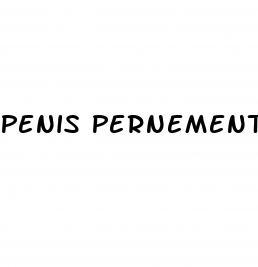 Penis Pernement Enlargment