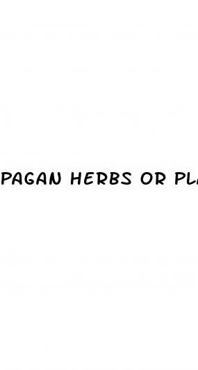 Pagan Herbs Or Plants That Help With Male Libido