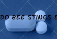 Do Bee Stings Enlarge Your Penis