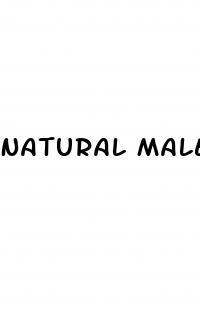 Natural Male Enhancement No Pills