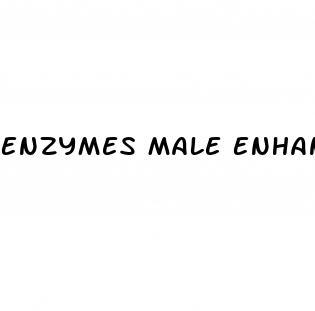 Enzymes Male Enhancement Pill
