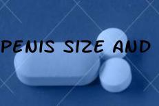 Penis Size And Enlargement