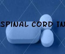 Spinal Cord Injury And Sexual Performance