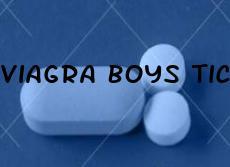 Viagra Boys Tickets